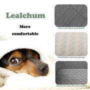 Washable Dog Car Seat with Dual Safety Leashes