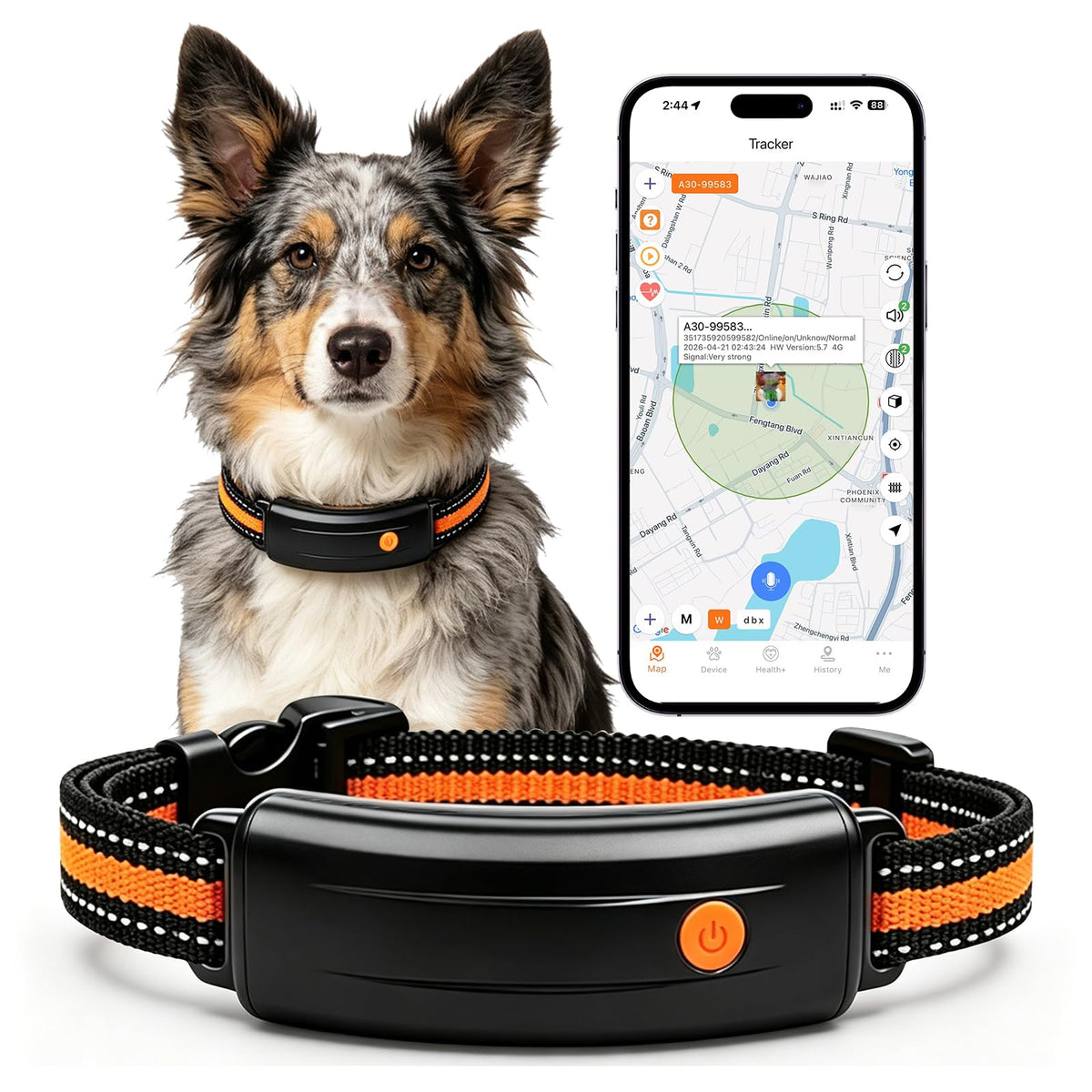 Smart Dog Health & Activity Tracking Collar