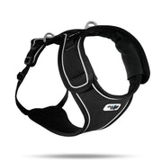 Belka Harness Black S