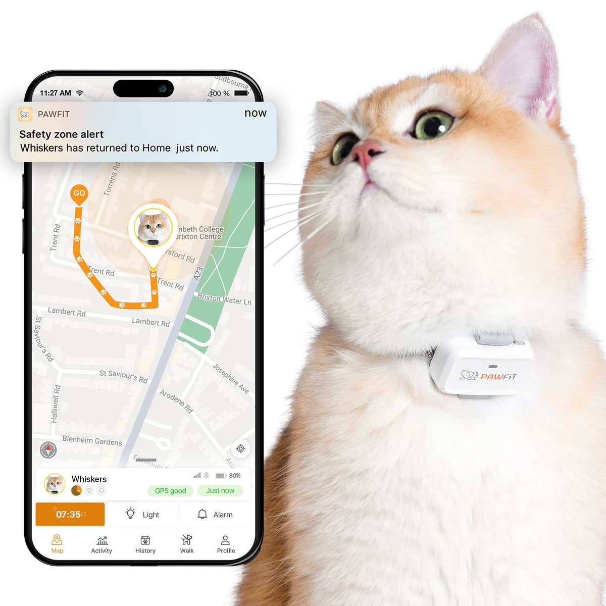 Pawfit Lite 4G GPS Cat Tracker, Live Tracking