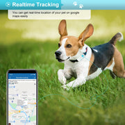 4G GPS Pet Location & Activity Tracker