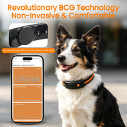 Smart Dog Health & Activity Tracking Collar