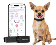 Smart Dog Health & GPS Monitoring Collar
