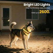UNISE Customizable LED Dog Collar, RGB Color Changing Light Up Dog Collar