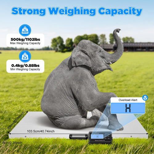 1100 lb Digital Livestock & Pet Scale