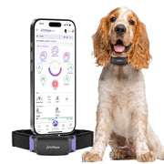 Smart Dog Health & GPS Monitoring Collar