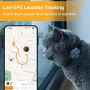 Pawfit Lite 4G GPS Cat Tracker, Live Tracking
