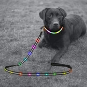 6FT LED Dog Leash & Collar Set