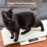 Greater Goods Essential Kitchen Scale and Healthy Paws Pet Scale