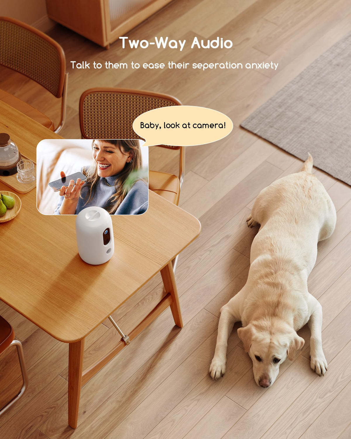 2K Smart Pet Camera with Treat Dispenser