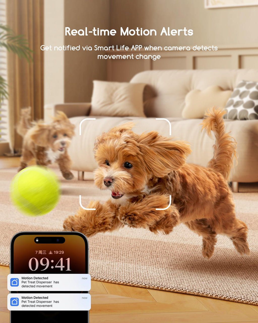 2K Smart Pet Camera with Treat Dispenser