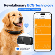 Smart GPS Pet Tracker & Wireless Dog Fence