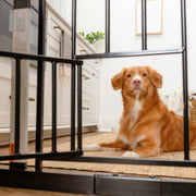 Extra-Wide Walk-Through Dog Gate with Pet Door
