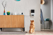 Petcube Bites Pet Camera with Treat Dispenser